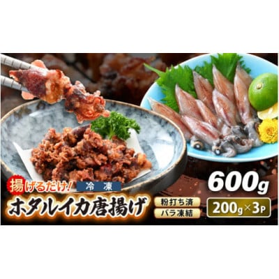 ŷtzg邾 ! z^CJ g v600g(200g×3P)yzsnFzy1627552z䌧zO10000ECY̑ ECY