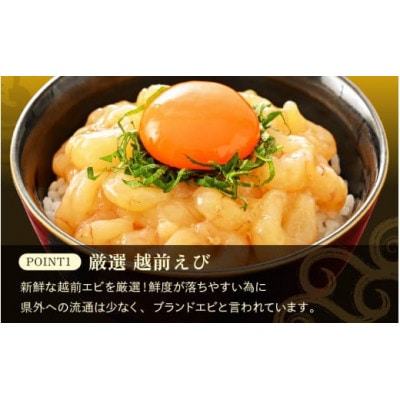 【のし付き】殻むき不要!幻と呼ばれる「越前えび」むき身 1kg(200g × 5袋)背わた処理済【配送不可地域:離島】【1627584】福井県越前町23000魚介・海産物エビ
