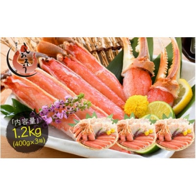 Jbgςݐ킢I 1.2kg (400g × 3) [e70-b002]yzsnFzy1628738z䌧zO20000ECYJj