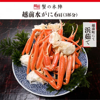 越前水がに 浜ゆで 6肩 (3杯分)セット 2026年2月〜3月順次発送【配送不可地域:離島・北海道・沖縄】【1630794】福井県越前町78000魚介・海産物カニ