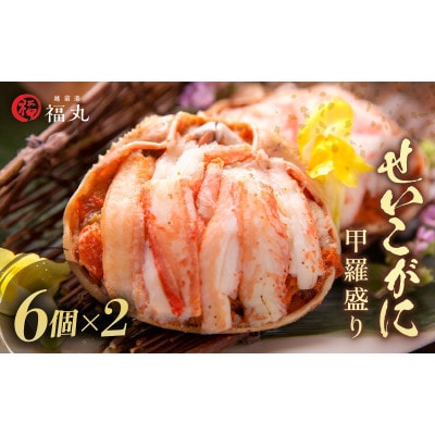 【のし付】せいこがに 甲羅盛り × 12パック 福井の網元漁師「福丸」が厳選!【配送不可地域:離島】【1631552】福井県越前町58000魚介・海産物カニ