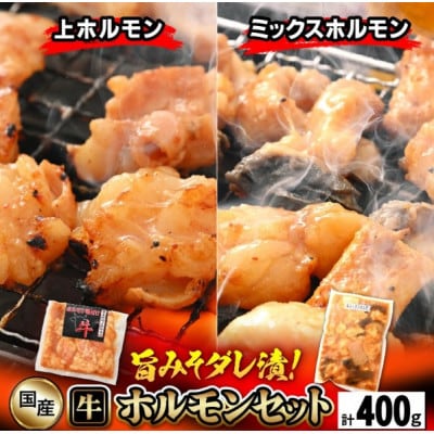国産 牛ホルモン セット 計400g(上ホルモン・ミックスホルモン 各1袋) 旨みそダレ漬け!【配送不可地域:離島】【1642724】福井県越前町8000肉牛肉