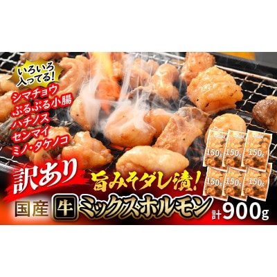 y󂠂zY ~bNXz v900g(150g×6)|݂_!yzsnFzy1642867z䌧zO13000