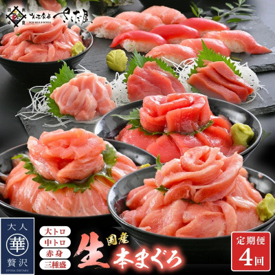 【毎月定期便】生本まぐろ堪能!赤身→中トロ→大トロ→3種まとめてお届け!全4回【配送不可地域:離島・北海道・沖縄】【4005119】福井県越前町41000魚介・海産物鮮魚