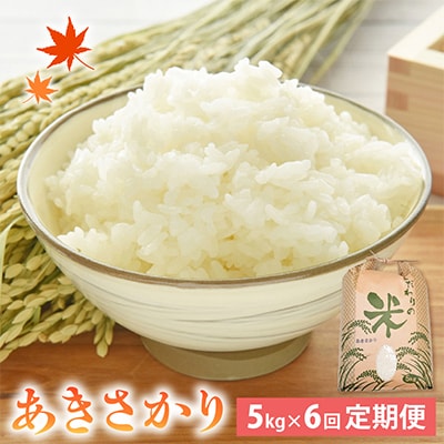 yցz 5kg × 6@䌧Y[]S6y4006153z䌧zO37000āEp