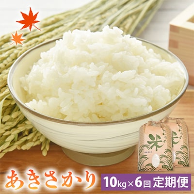 yցz 10kg × 6@䌧Y[]S6y4006155z䌧zO69000āEp