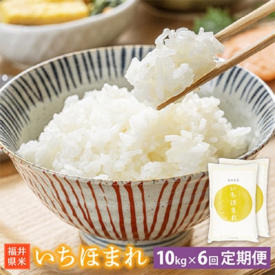 yցzق܂ 10kg 䌧Y[]S6y4010917z䌧zO93000āEp
