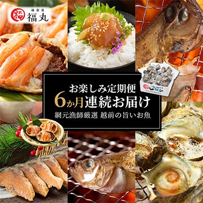 2023年5月発送開始『定期便』≪6ヵ月連続お届け≫漁師厳選!越前の旨いお魚お楽しみ定期便全6回【配送不可地域:離島】【5079175】福井県越前町60000魚介・海産物カニ