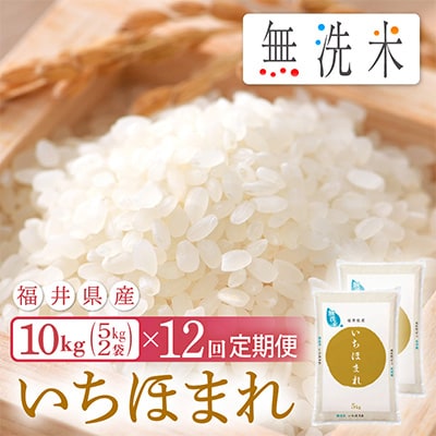 2023年8月発送開始『定期便』≪12か月連続お届け≫無洗米 いちほまれ 10kg 全12回【5086452】福井県越前町170000米・パン無洗米