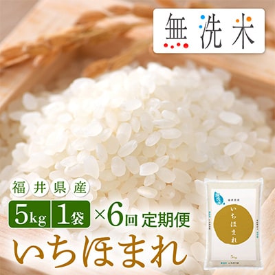 2023年4月発送開始『定期便』≪6か月連続お届け≫無洗米 いちほまれ 5kg 全6回【5086508】福井県越前町46000米・パン無洗米