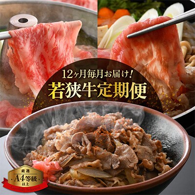 2023N12Jnwցx12A͂ዷ{[v6.8kgȏS12yzsnFzy5169212z䌧zO219000