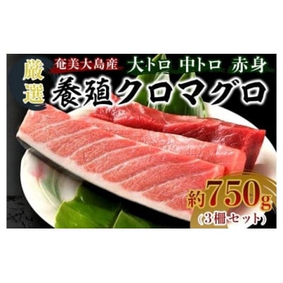 哇Y{BN}O(3Zbg)yzsnFzy1402680z˓25000ECYN