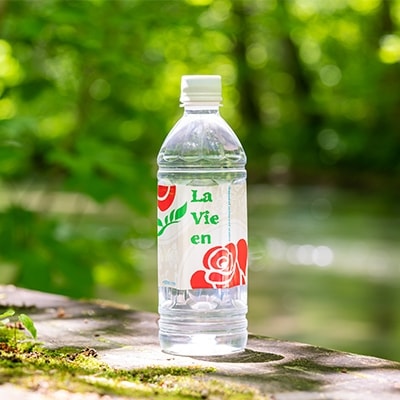 天然シリカ水ラビアン 500ml×24本(1箱)【配送不可地域:離島】【1114848】青森県十和田市12000お茶・飲料水・ミネラルウォーター
