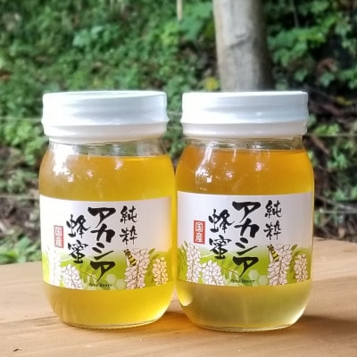 【青森県十和田市産】アカシア蜂蜜550g 2本セット【配送不可地域:離島】【1351650】青森県十和田市23000鍋セット・総菜・加工食品ジャム・はちみつ