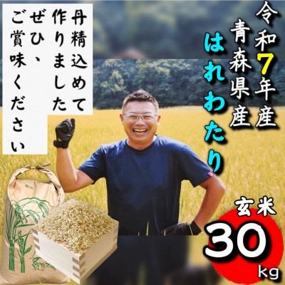 【令和7年産】青森県産はれわたり玄米30kg【配送不可地域:離島・沖縄】【1678880】青森県十和田市68000米・パン玄米・雑穀米・もち米・餅