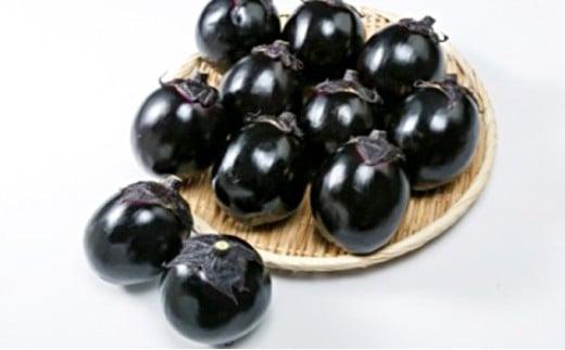 y2025N10菇zƍNɈAコꂽ̐܌˂ȂyzsFkCEEzÉÉs9000؁Ê̑ 