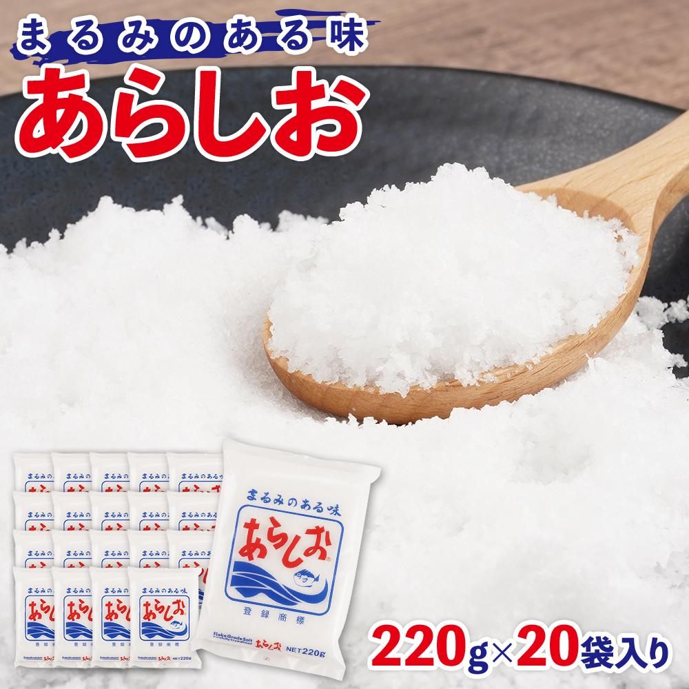 あらしお 220g×20袋入り◇静岡県静岡市11000調味料・油塩・胡椒・砂糖