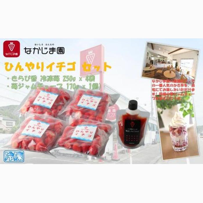 ひんやりイチゴ セット(きらぴ香 冷凍苺 250g×4袋+苺ジャム チューブ 170g×1個)冷凍 なかじま園 自宅で かき氷 パフェ いちご 苺 国産 フルーツ くだもの◆静岡県静岡市12000果物・フルーツ