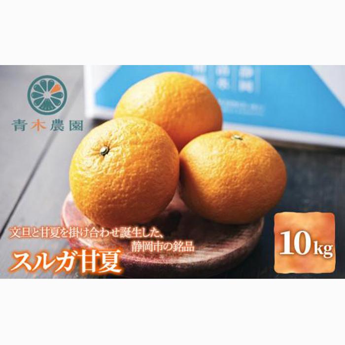 【2026年3月下旬より順次発送】青木農園 スルガ甘夏 10kg【配送不可:離島】◇静岡県静岡市14000果物・フルーツみかん・柑橘類