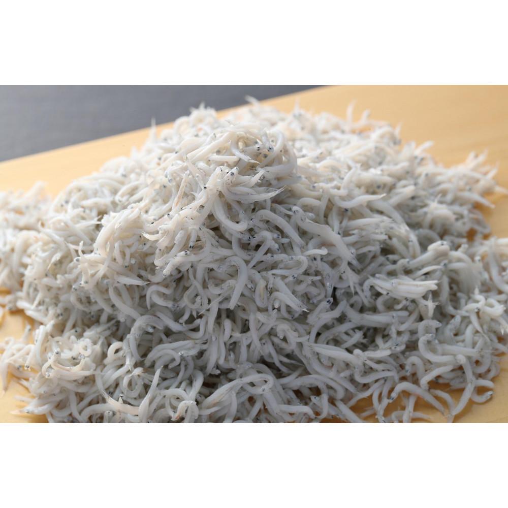 由比一艘曳き釜揚げしらす 500g(50g×10パック)◇静岡県静岡市11000魚介・海産物その他 魚介・海産物
