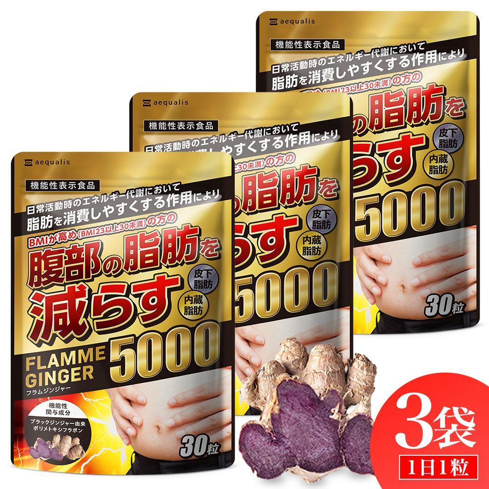ブラックジンジャー サプリメント フラムジンジャー 機能性表示食品 3袋セット◇静岡県静岡市11000鍋セット・総菜・加工食品その他 鍋セット・総菜・加工食品