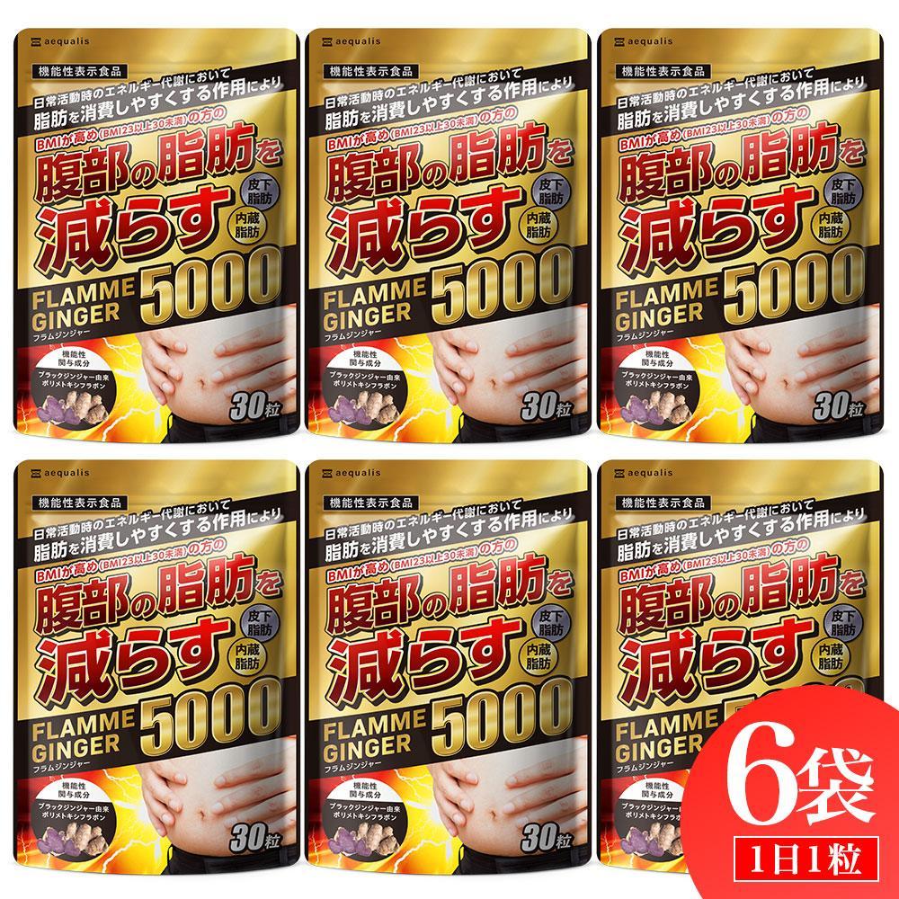 ブラックジンジャー サプリメント フラムジンジャー 機能性表示食品 6袋セット◇静岡県静岡市22000鍋セット・総菜・加工食品その他 鍋セット・総菜・加工食品