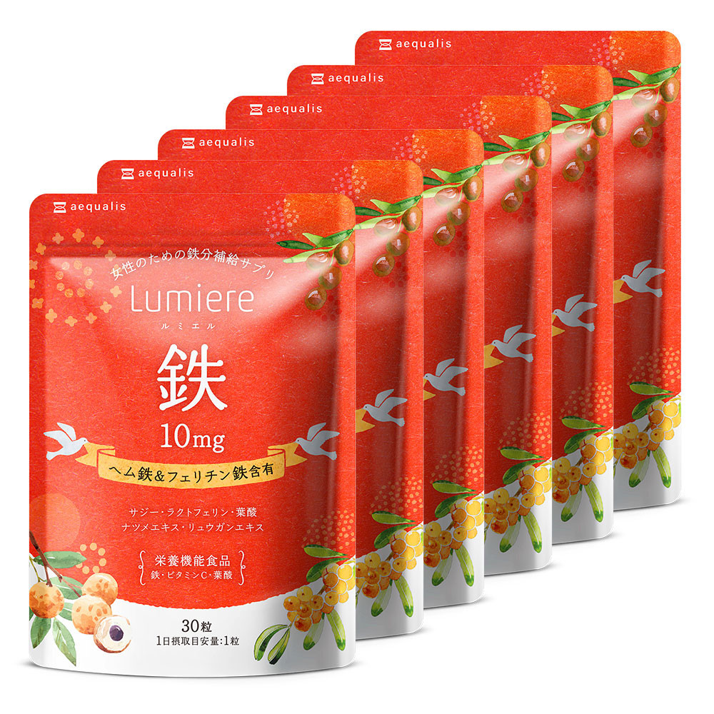 鉄分 サプリ ルミエル 鉄 10mg フェリチン鉄 ヘム鉄 葉酸 栄養機能食品 6袋(6ヶ月分)静岡県静岡市22000鍋セット・総菜・加工食品その他 鍋セット・総菜・加工食品