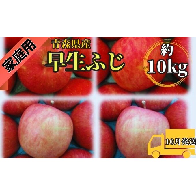 早生ふじ約10kg 家庭用青森県産(10月発送) 果物 りんご 青森りんご 旬のフルーツ 産地直送 青森県西目屋村23000果物・フルーツりんご・梨