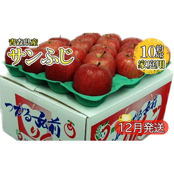 サンふじ 約10kg 家庭用(12月発送)青森県産 果物 りんご 青森りんご 旬のフルーツ 産地直送 青森県西目屋村31000果物・フルーツりんご・梨