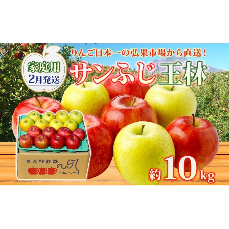 y2z ƒp Tӂ  10kg  ь S ʕ t[c  { XY  lߍ킹 Zbg 퉷 Yn  X ډXډ23000ʕEt