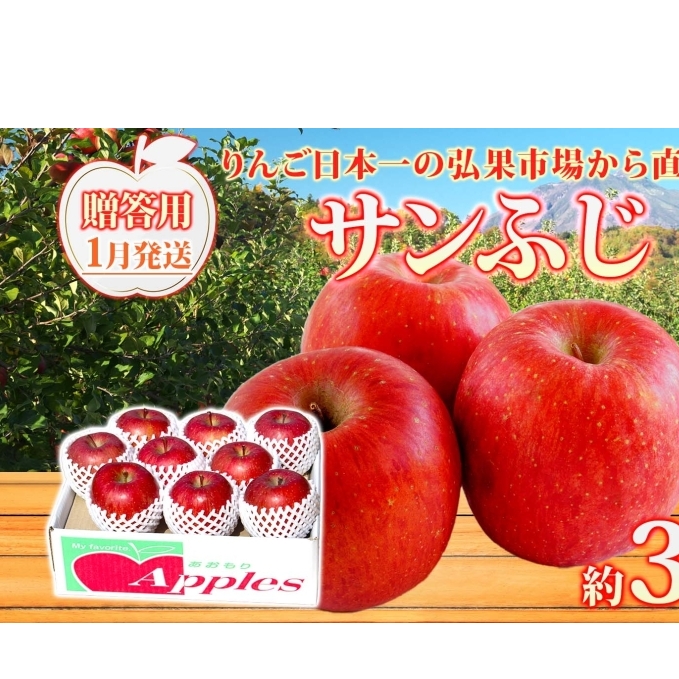 【1月発送】 贈答用 サンふじ 約3kg りんご 林檎 リンゴ 果物 フルーツ くだもの 旬 青森県産 お取り寄せ 贈り物 プレゼント 人気 東北 名産 常温 産地直送  青森県 西目屋村青森県西目屋村1400