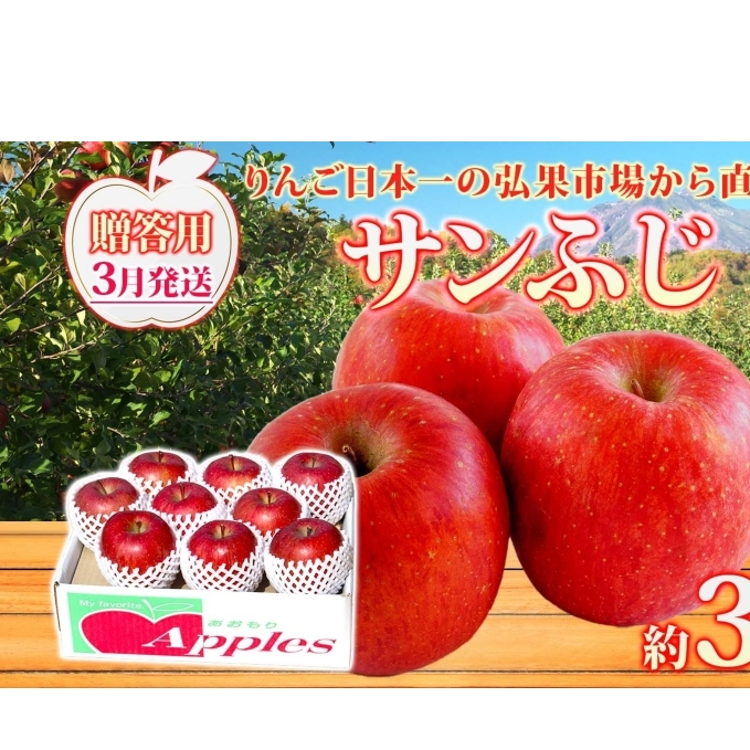 【3月発送】 贈答用 サンふじ 約3kg りんご 林檎 リンゴ 果物 フルーツ くだもの 旬 青森県産 お取り寄せ 贈り物 プレゼント 人気 東北 名産 常温 産地直送  青森県 西目屋村青森県西目屋村1400