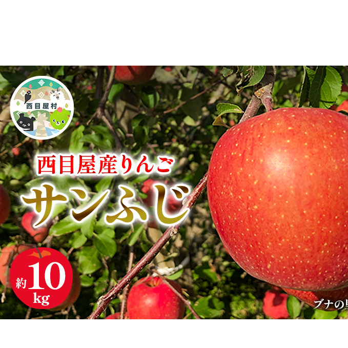 西目屋産りんご サンふじ 約10kg(B-1) 果物類 林檎 リンゴ 青森 青森県西目屋村25000果物・フルーツりんご・梨