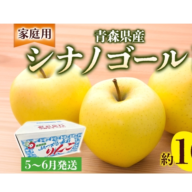 ƒp VimS[h 10kg  S X ь ʕ t[c   蕨 v[g Yn  X ډ ͂F5{琏͂Xډ30000