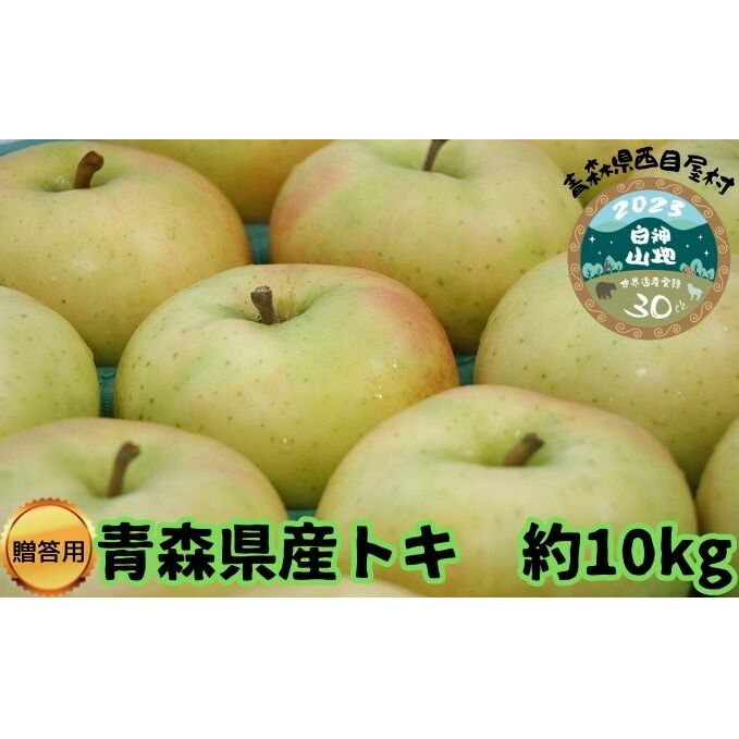 【青森県産りんご】贈答用トキ 約10kg 果物 フルーツ デザート 食後 おやつ 国産 強い甘味 やさしい酸味 果汁豊富 シャキシャキ 青森りんご 青森県西目屋村25000果物・フルーツりんご・梨