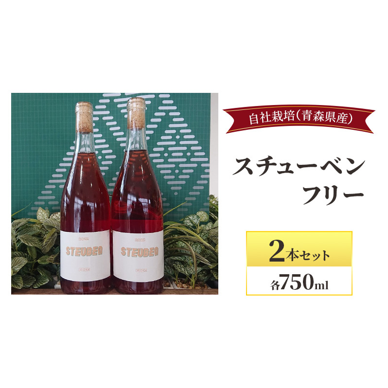 X`[xt[ 750ml×2{Zbg   C ԃC XY X`[x h߁EYXډ17000EAR[C