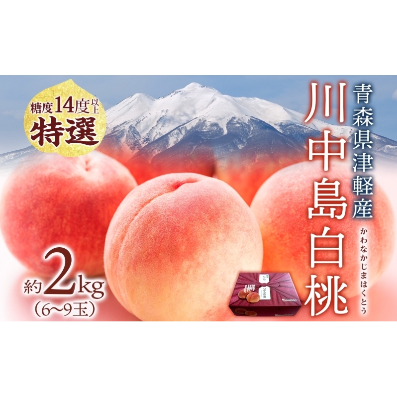  쒆 2kg 6`9 I 8{`9{z s\  x14xȏ  ʎ t[c fU[g Y XY Â ʎ ґ  Yn Mtg  X 