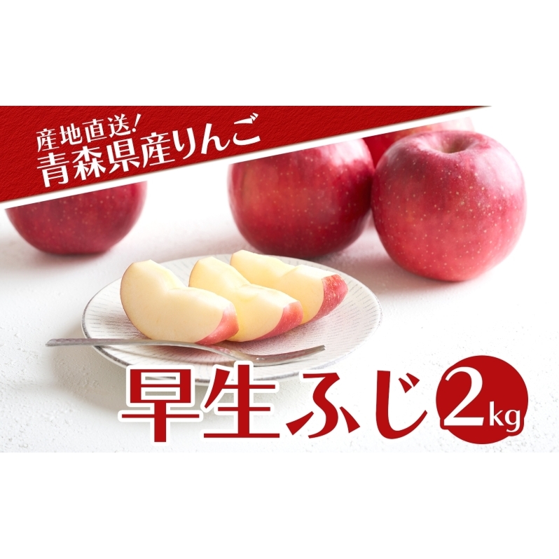 青森県産 りんご 早生ふじ 2kg 青森 リンゴ 林檎 早生 ふじ 果汁 果物 フルーツ アップル 新鮮 おやつ デザート プレゼント 贈り物 お取り寄せ 常温  青森県 西目屋村青森県西目屋村14000果物・