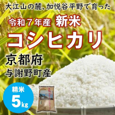 令和7年新米 大江山の麓、京都府与謝野町で育った丹後産コシヒカリ 精米5kg おいしいお米を農家直送【1632450】京都府与謝野町13000米・パン白米
