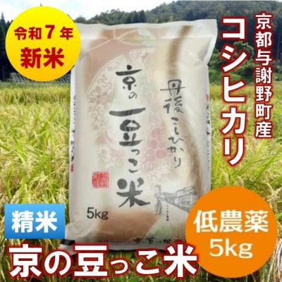 ߘa7NYVāu̓āv5kg@_RVqJ@s^Ӗ쒬@yɒB_zy1636551zs{^Ӗ쒬16000āEp
