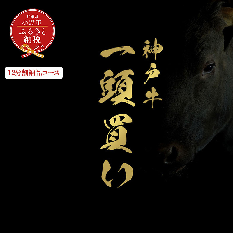 yaZuz_ˋꓪ̃Zǔi12[iR[Xj/ _˃r[t BBQ  Ⓚ uh Ɍ sɌs16669000