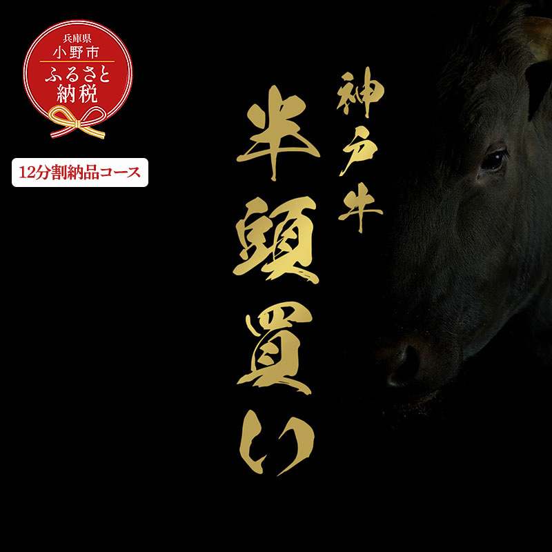 【和牛セレブ】神戸牛半頭分のセレブ体験(12分割納品コース)/ 神戸ビーフ BBQ 牛肉 冷凍 ブランド牛 兵庫県 小野市兵庫県小野市14069000肉牛肉