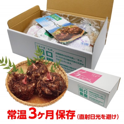 【贈答用】川場村産《生芋こんにゃく》セット(小)【1378503】群馬県川場村11000鍋セット・総菜・加工食品その他 鍋セット・総菜・加工食品