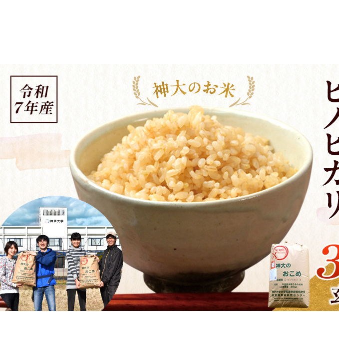 米 【令和7年産】神大のおこめ(特別栽培米ヒノヒカリ)玄米30kg お米 兵庫県加西市52000米・パン白米