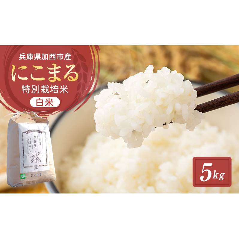 【令和7年産新米予約受付】 特別栽培米 にこまる 白米5kg 東京米スターセレクションKIWAMI米2023 金賞受賞! 新米 精米 白米 お米 こめ コメ ごはん ご飯 ニコマル 先行予約 単一原料米 兵庫県