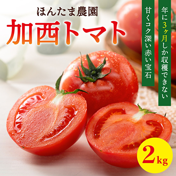 加西市産 ほんたま農園の大玉トマト 2kg 野菜 とまと 兵庫県加西市13000野菜・きのこトマト