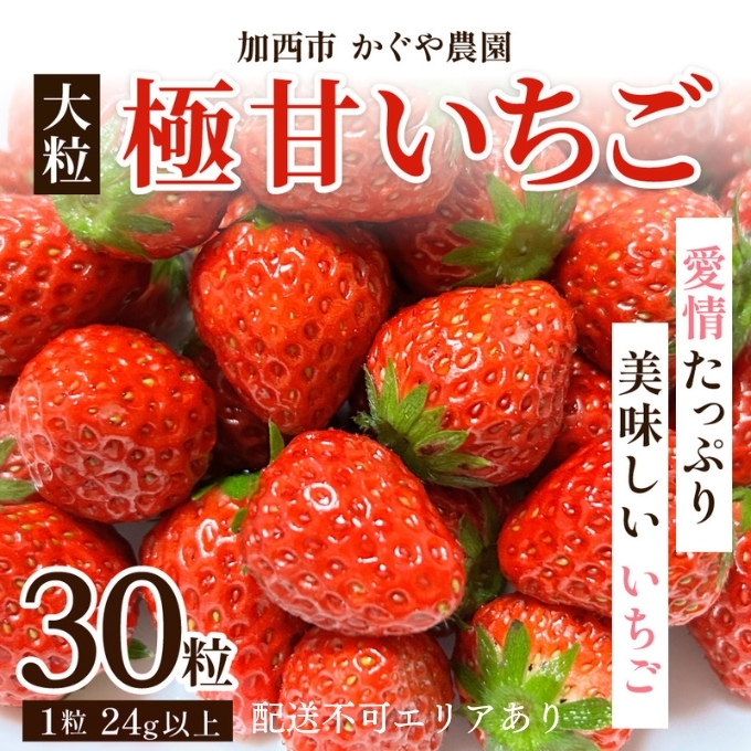 【令和7年産】 かぐや農園の極甘 いちご 大粒 30粒 果物 フルーツ 果実 高設栽培方式 紅ほっぺ かおり野 ロマンベリー お楽しみ 兵庫県加西市20000果物・フルーツいちご