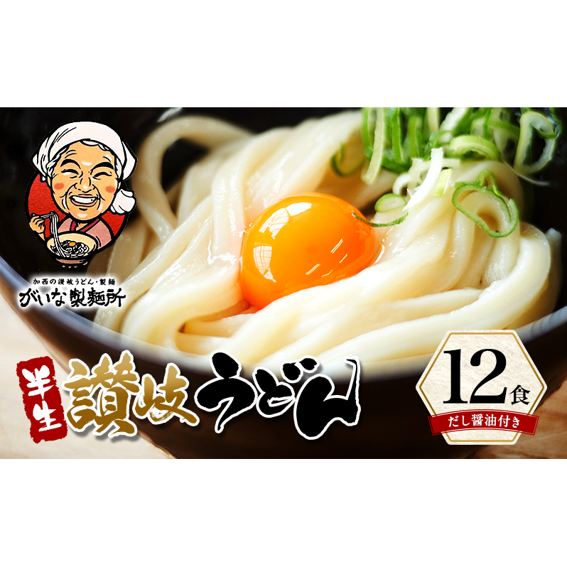 加西市で行列ができる『がいな製麺所』の 讃岐うどん セット こんぶ醤油付き ( 半生タイプ 讃岐 さぬき もっちり コシ 喉越し もちもち食感 ご当地 麺類 かけ 常温保存 有名店 人気店 老舗