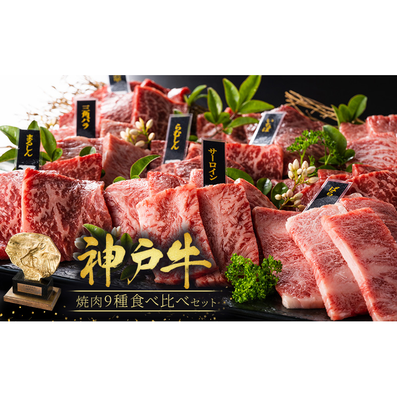 神戸牛 焼肉 食べ比べ 9種 計720g 80g×9 ゆず山椒付き 焼肉セット 焼き肉 牛肉 和牛 焼肉用 キャンプ BBQ アウトドア バーベキュー 黒毛和牛 お肉 冷凍 福袋 神戸ビーフ 兵庫県加西市35000肉牛肉