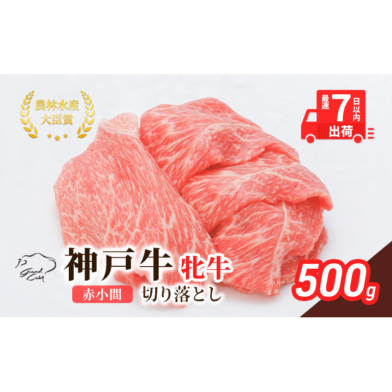 【最短7日以内発送】 神戸ビーフ 神戸牛 牝 切り落とし 赤小間 500g 川岸畜産 すき焼き 牛丼  冷凍 肉 牛肉 すぐ届く お肉 和牛 食材 グルメ ブランド牛 日本産 国産 夕飯 晩御飯 夜ごはん 兵庫